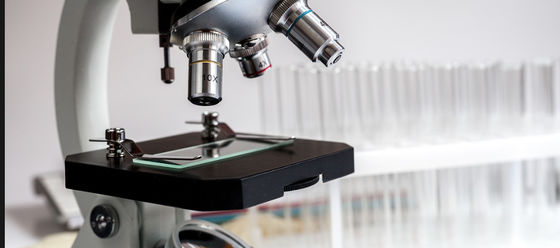 Pannello di vetro grezzo resistente alle sostanze chimiche per diapositive istologiche/citologiche 1300*1100mm Dimensione regolare 4PB 9-12um